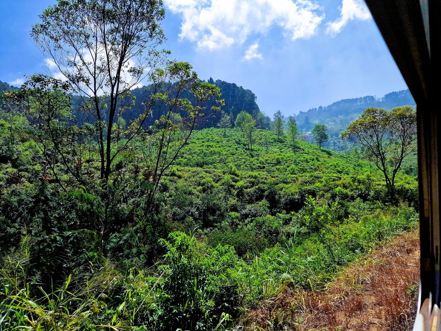 Train ride