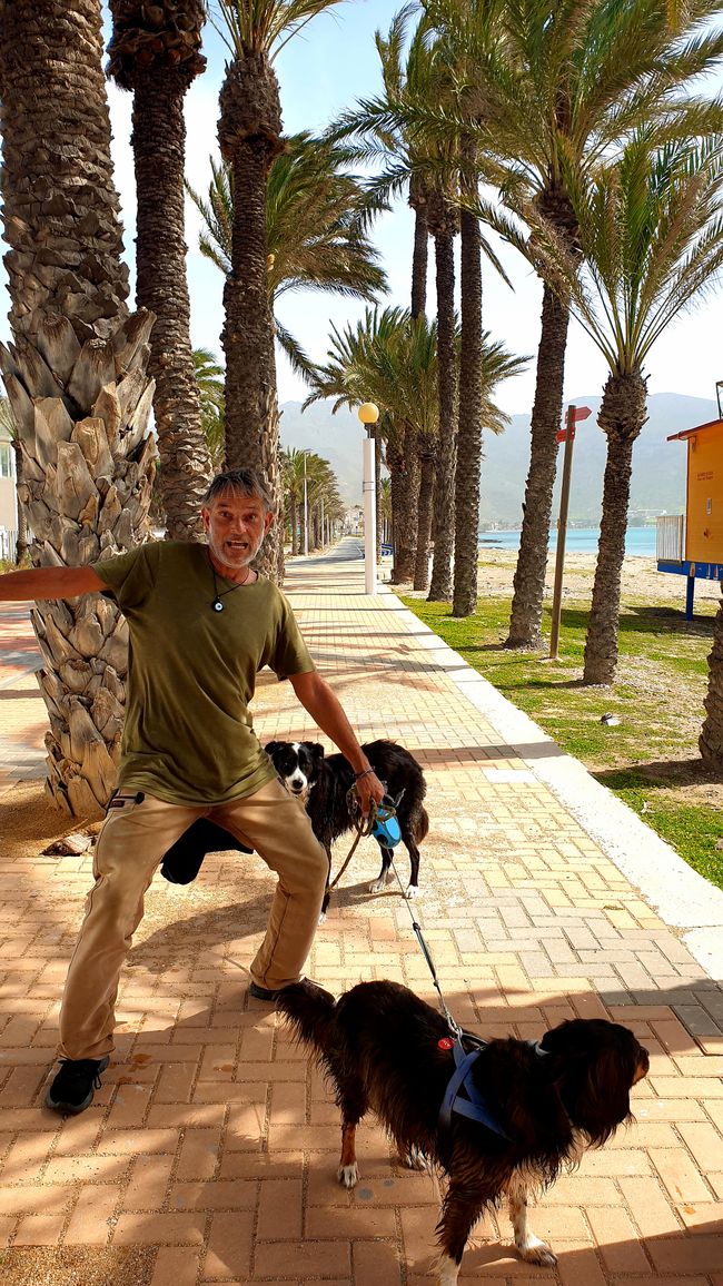 Alicante?...no grazie 609