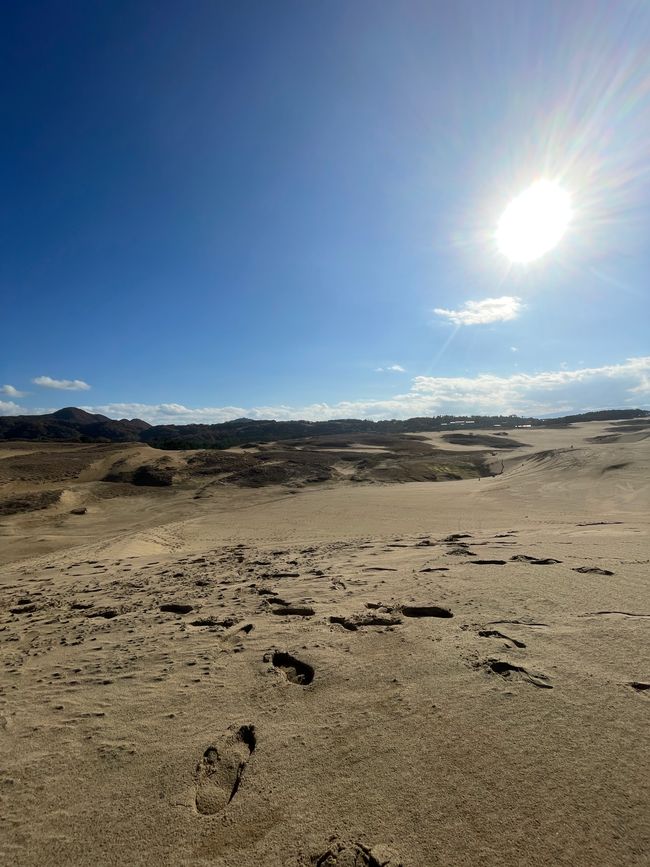 28. Kapitel: Ausflug in die japanische Wüste und ein verhinderter Kamelritt