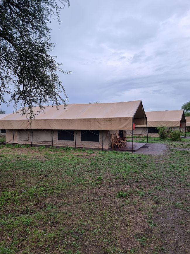 Tansania - Tag 4: Ngorongoro Krater
