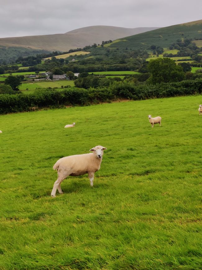 Brecon Beacons National Park