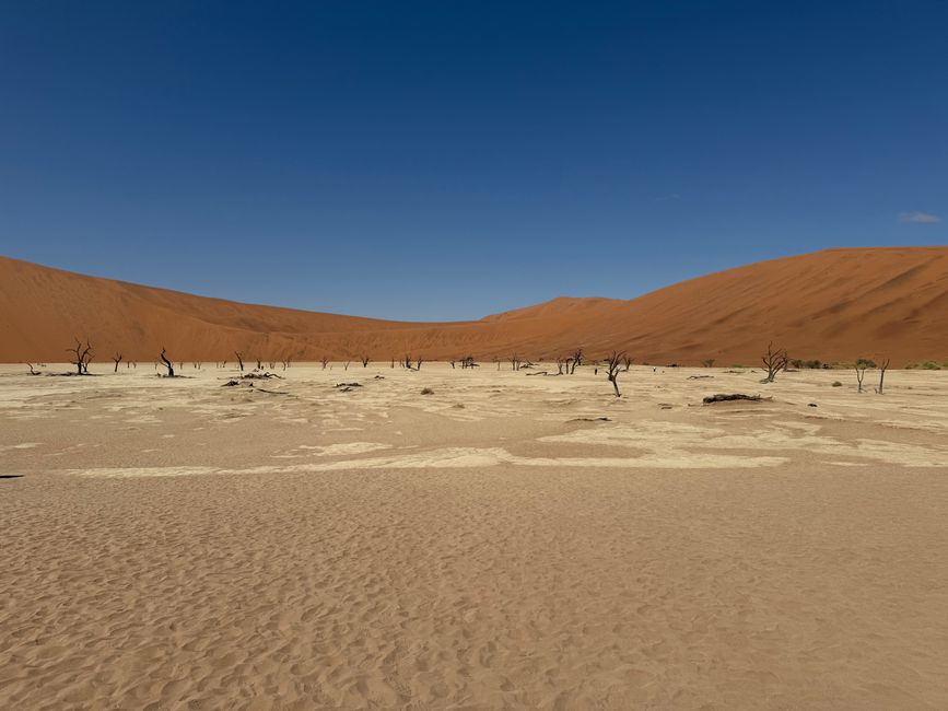 Namibia 2k25 🦓🏜️🐘