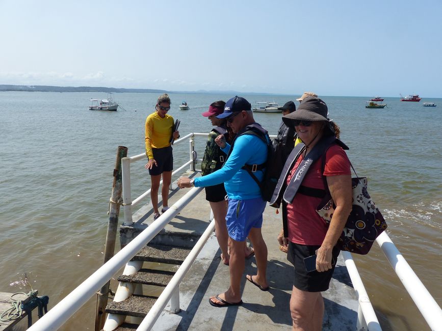 Brazil, Whale Watching