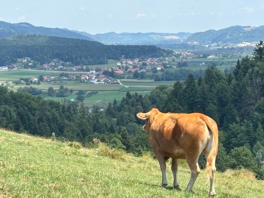 Bleiburg fino a Maribor