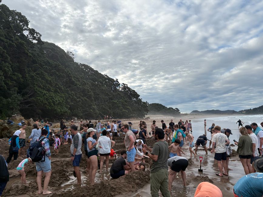 Hot Water Beach- wir werden Digger