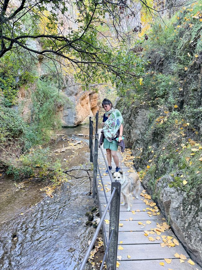 Unser Rückweg am Fluss entlang.