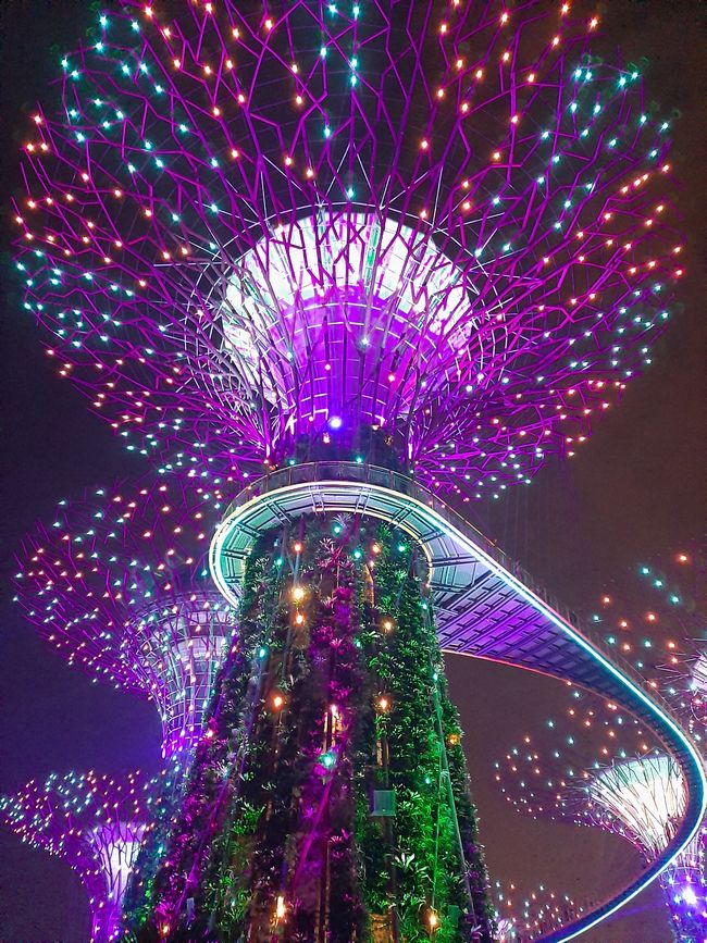 - Singapur & Tasmania 2019 -