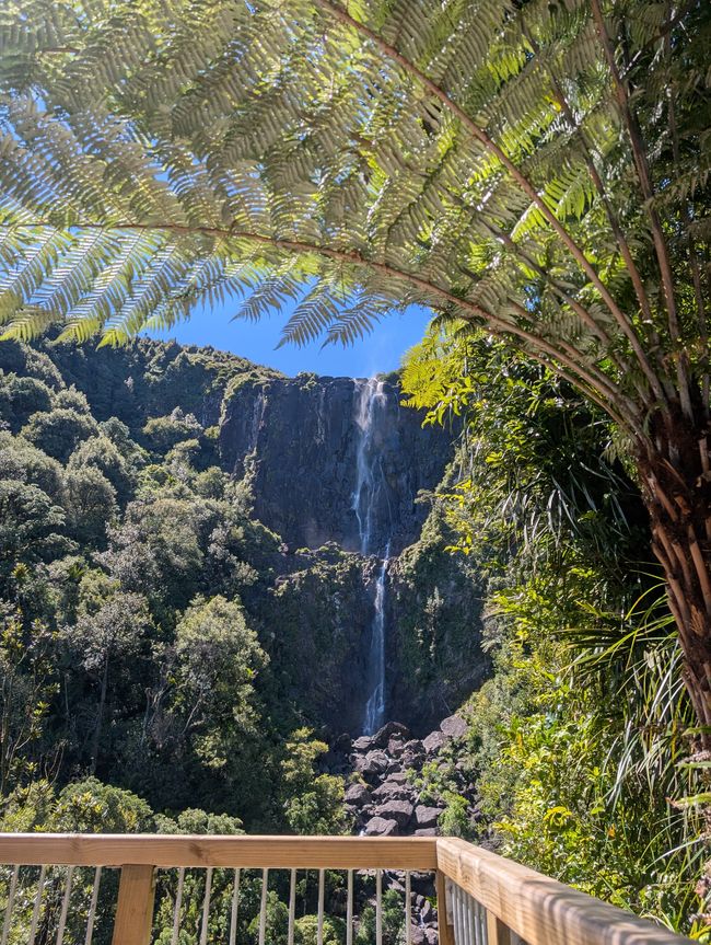 Wairere falls & Te Waihou walkway