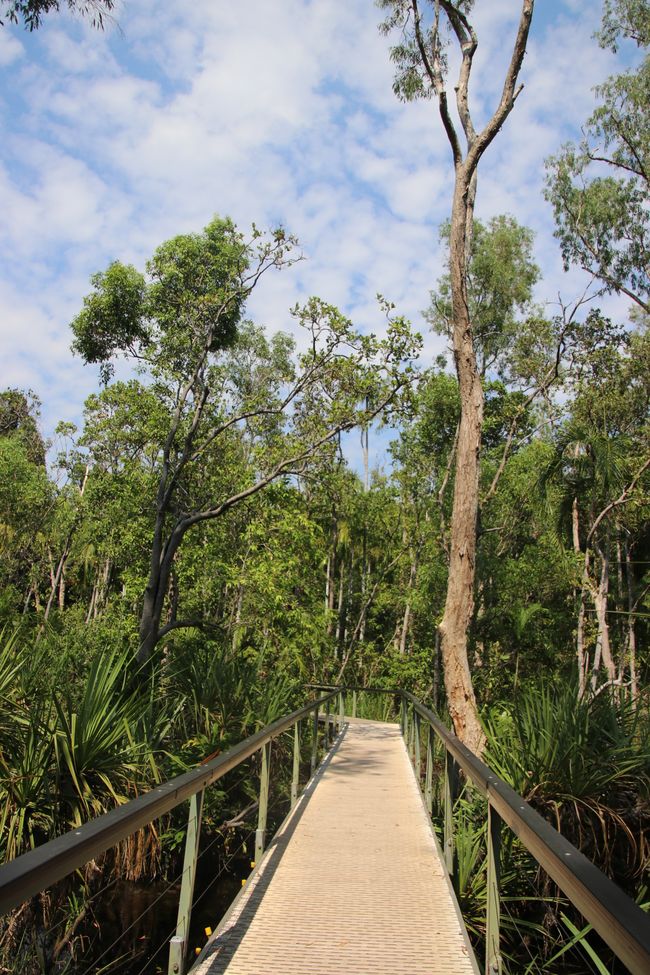 Day 27: On the road in Litchfield National Park