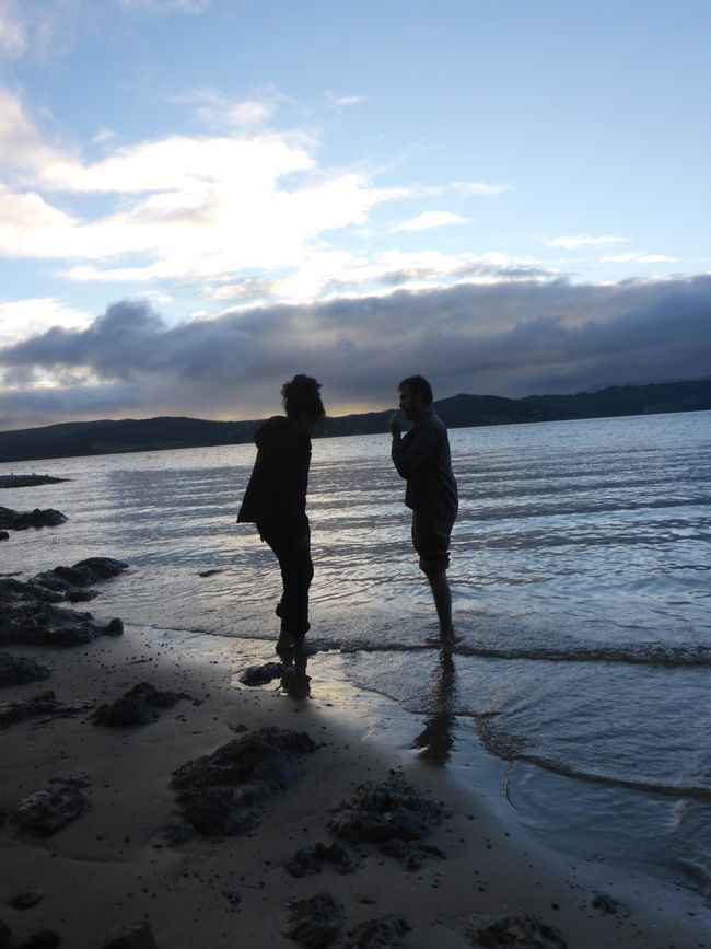2025-04-15 Dargaville