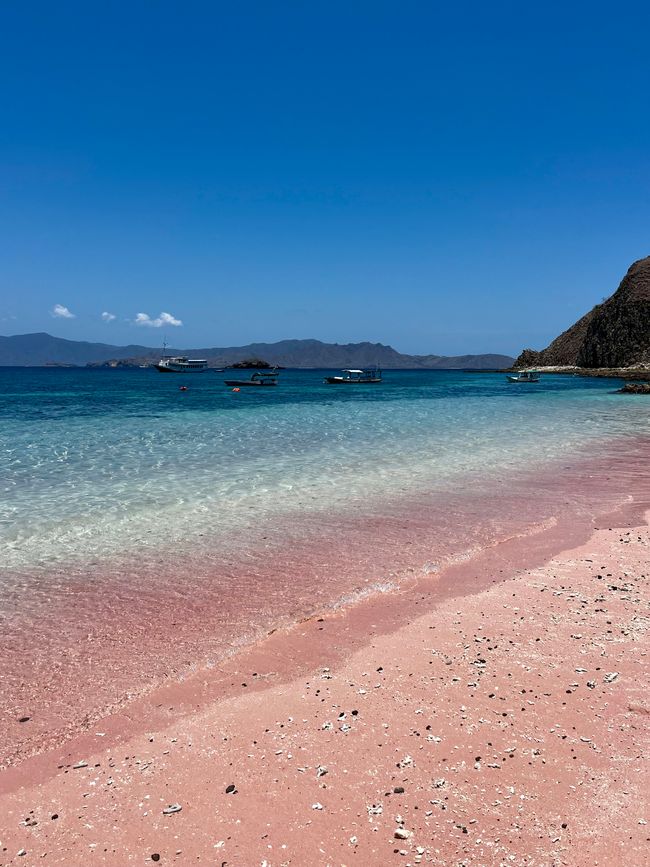 Komodo Tour