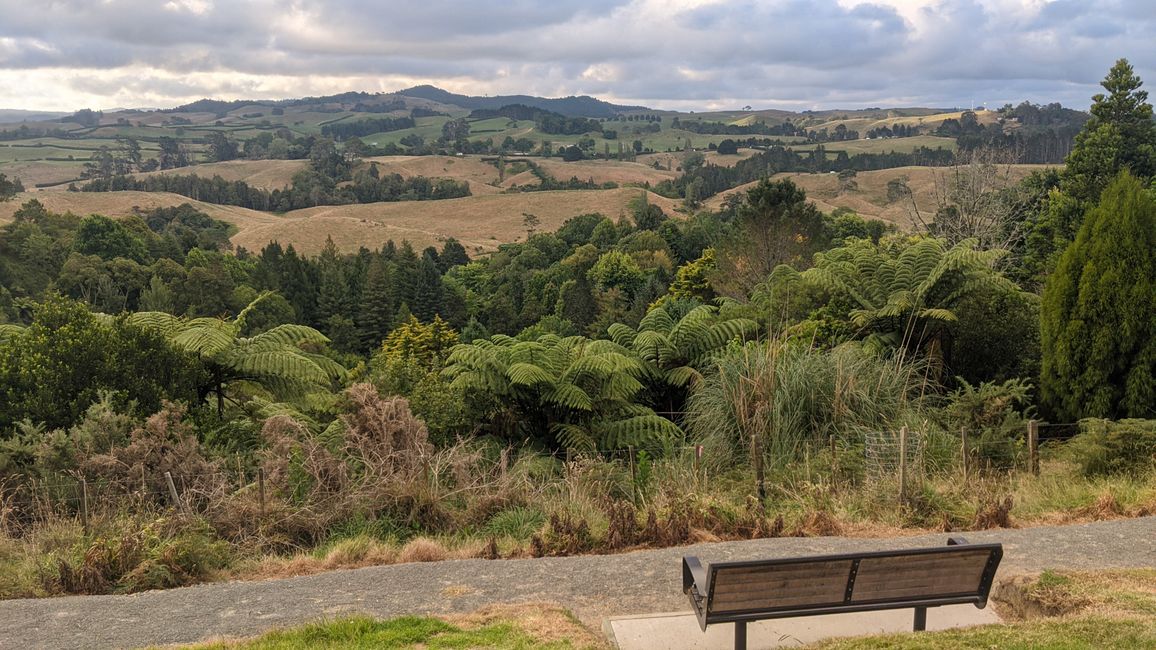 Tauranga