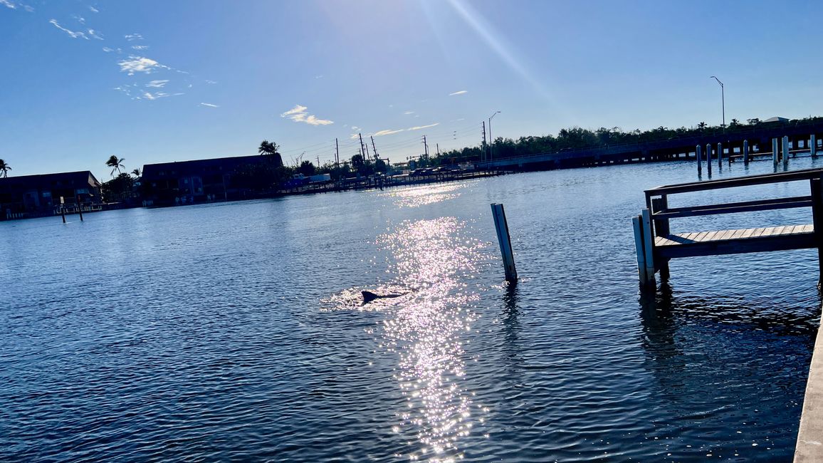 Tag 377 - Fort Myers