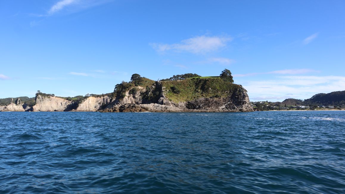 Bootstour entlang der Küste von Whitianga bis zur Cathedral Cove
