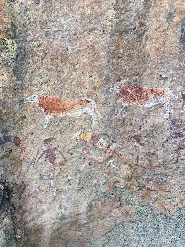 Damaraland