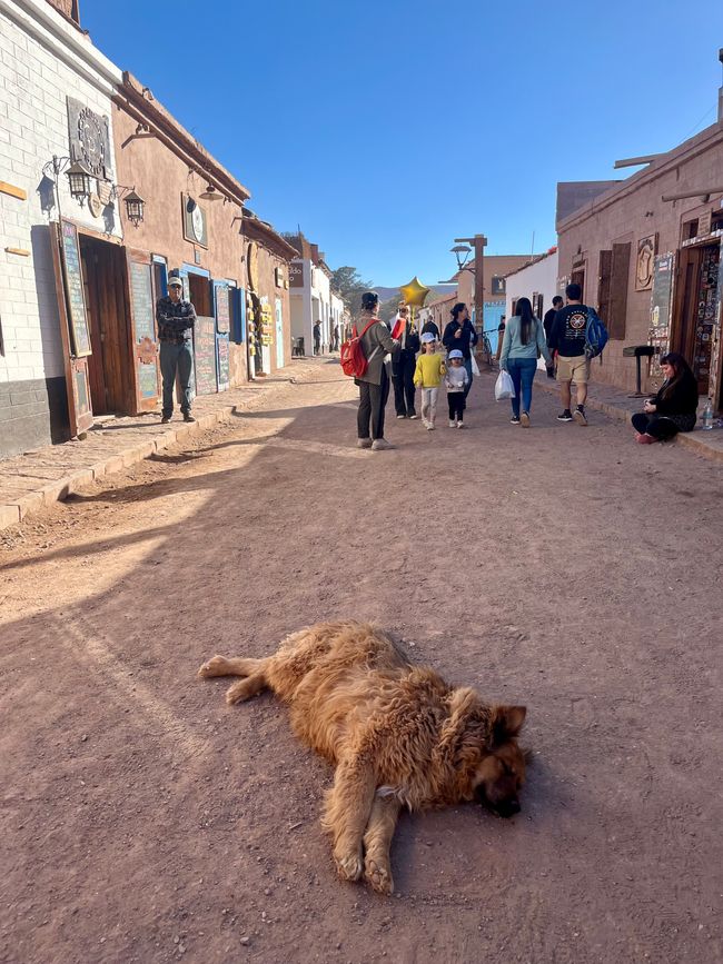 San Pedro de Atacama