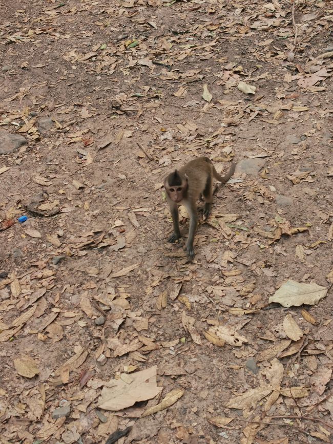 On Temple Tour in Siem Reap