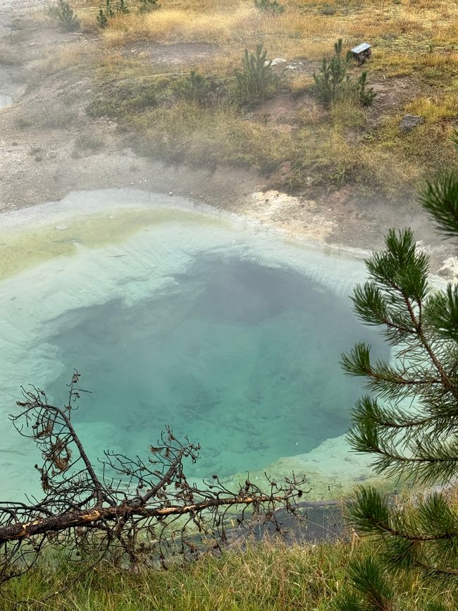 Parque Nacional Yellowstone