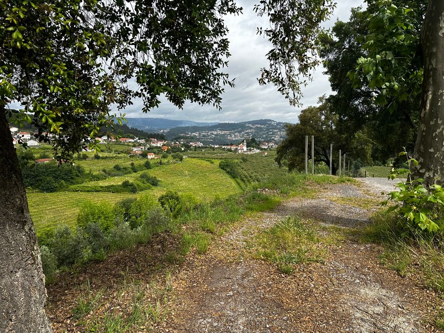Das Douro Tal
