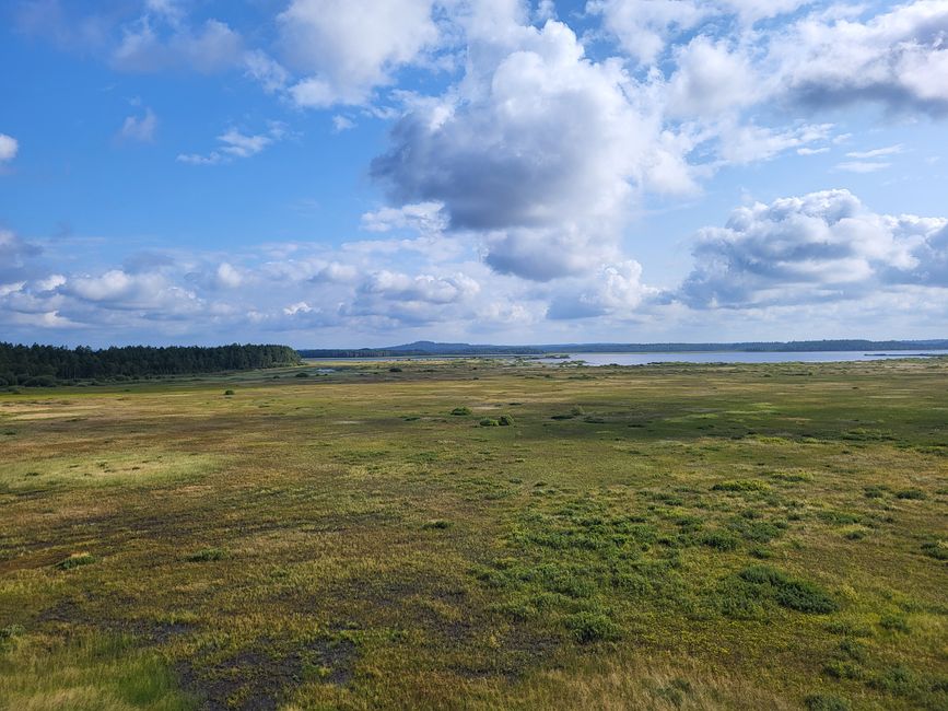 Blick vom Vogelbeobachtungsturm