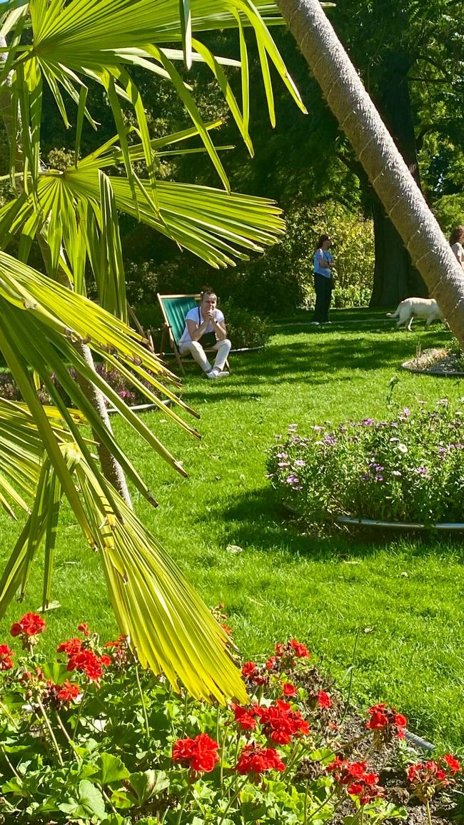 Von Kutsche bis Kaffeepause: Ein Tag in Bad Muskau