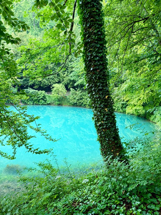 📍Blautopf, Blaubeuren
