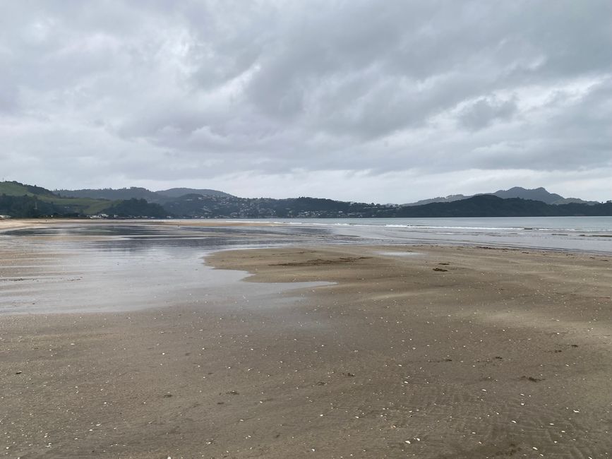 Coromandel loop