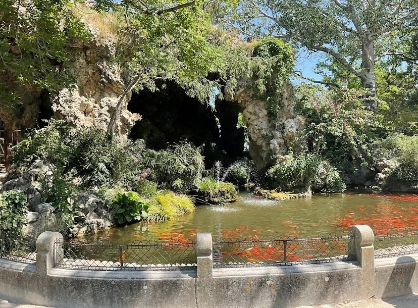 Avignon