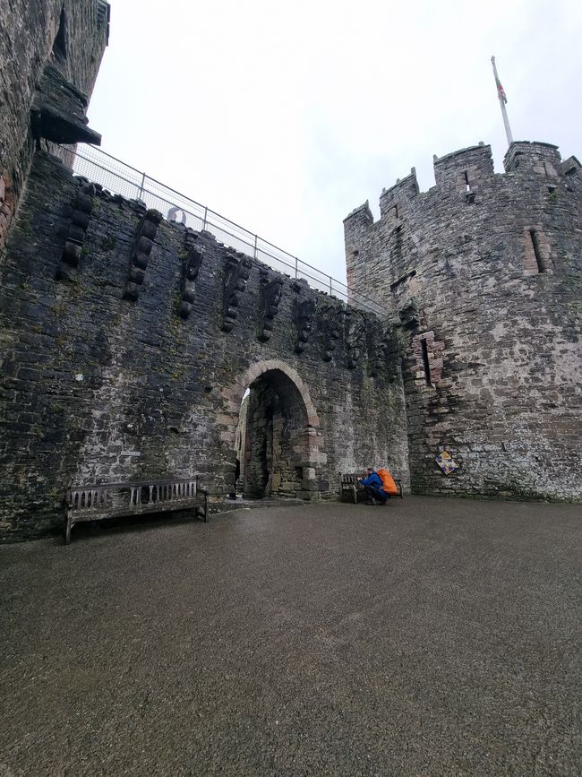 Conwy Castle 