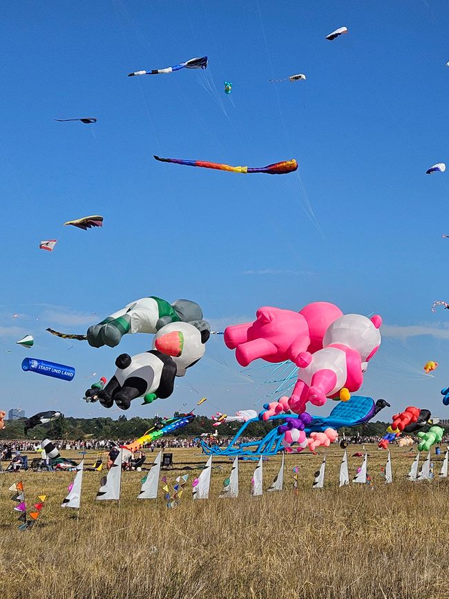 Festival der Riesendrachen