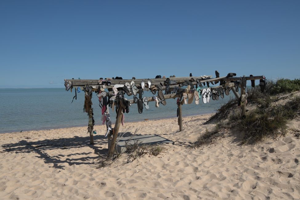 Shark Bay - Australian Humor / Australian humour