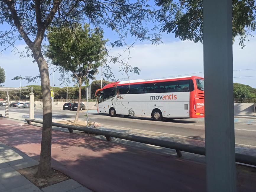 Foto di Santa Susanna (il Maresme, Barcellona) (agosto 2023) (parte 1)