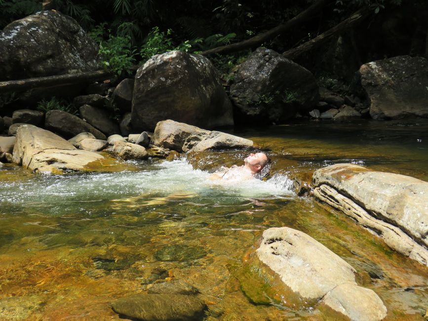 Sinharaja - l'ultima foresta pluviale dello Sri Lanka