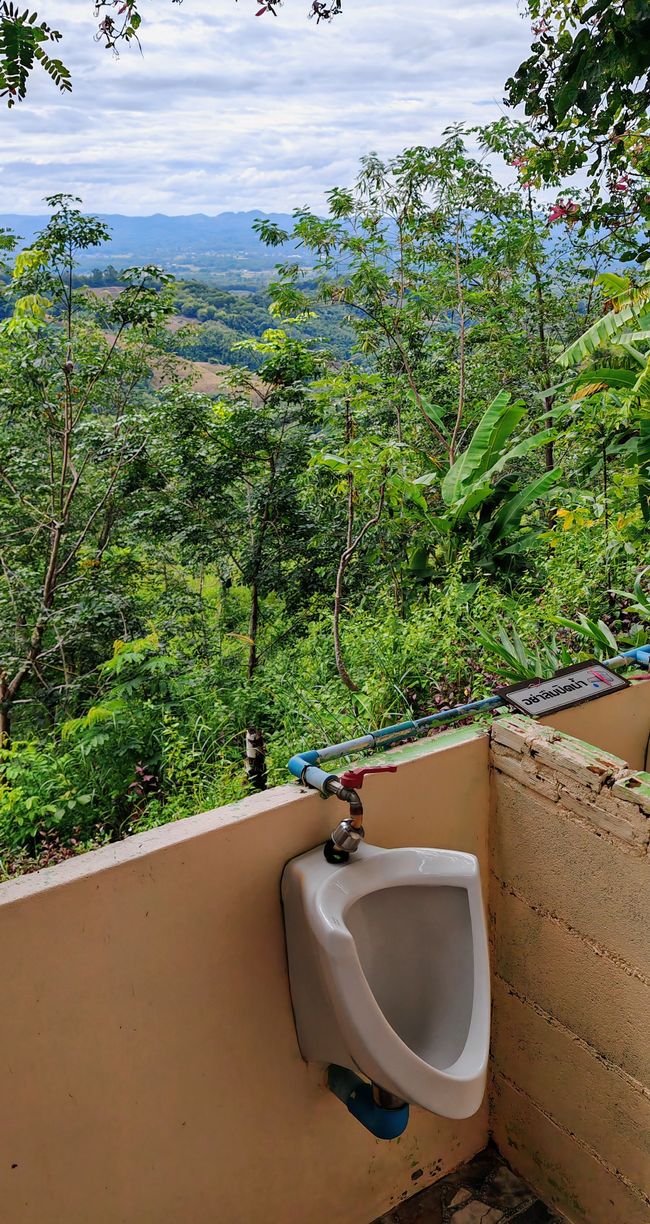 29 Base Coffee Bar View