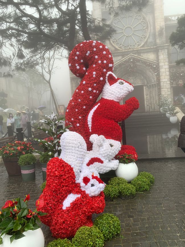 Tag 6 - Hoi An : Un Licorne Endormi et une Aventure dans le Brouillard