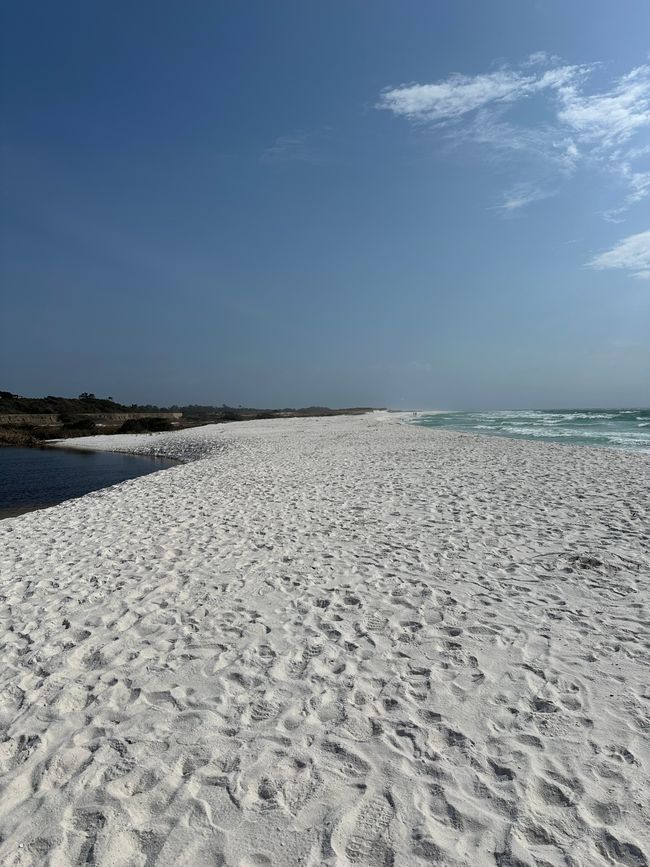 Das Dritte Jahr unterwegs 
Von Miami weiter in die Welt