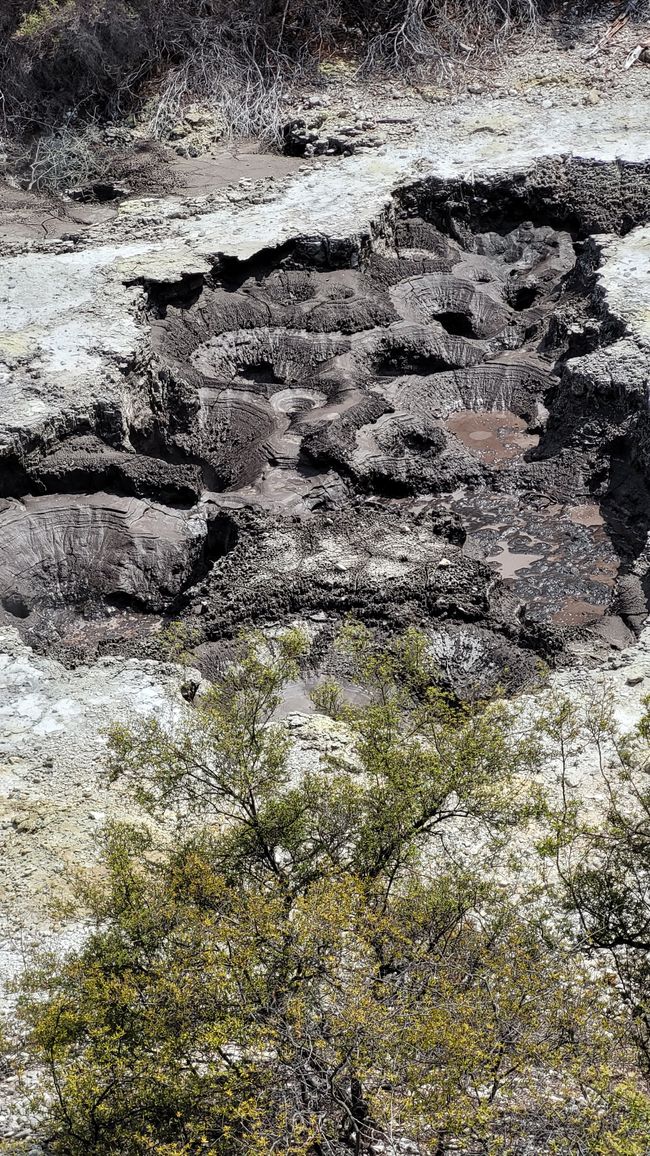 In Wai-O-Tapu National Park and at Lady Knox