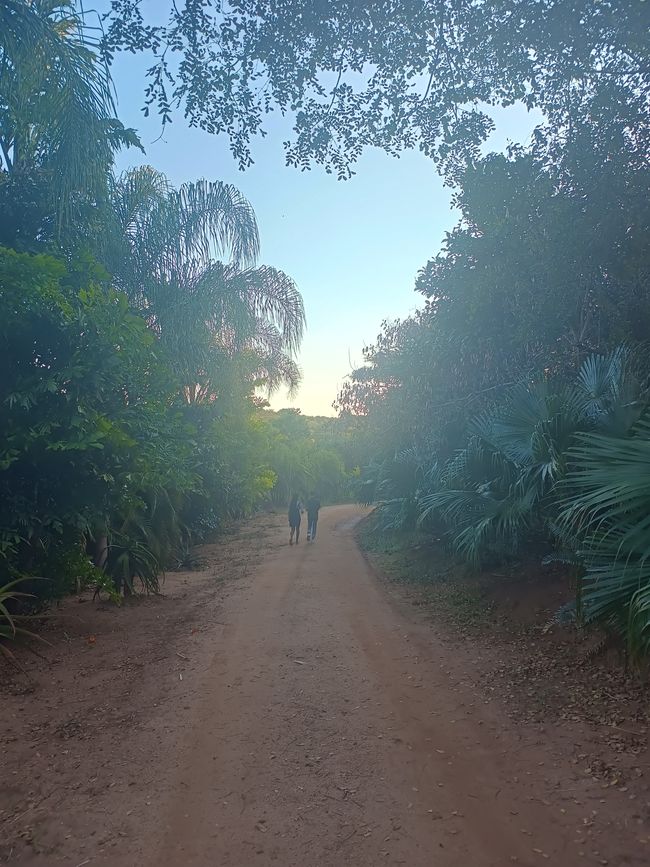 Botanischer Garten in Gondola