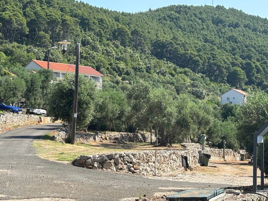Radfahren auf Mljet