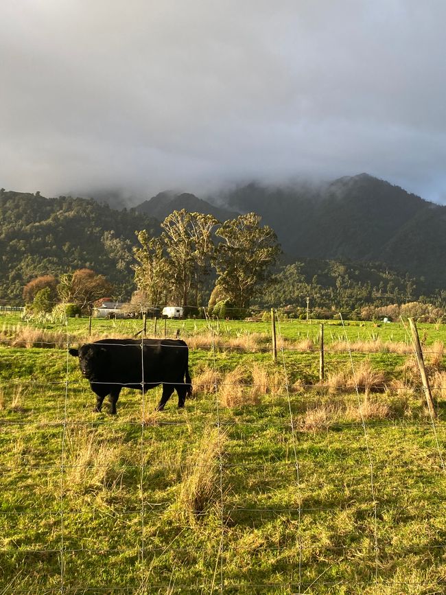 Verso Karamea