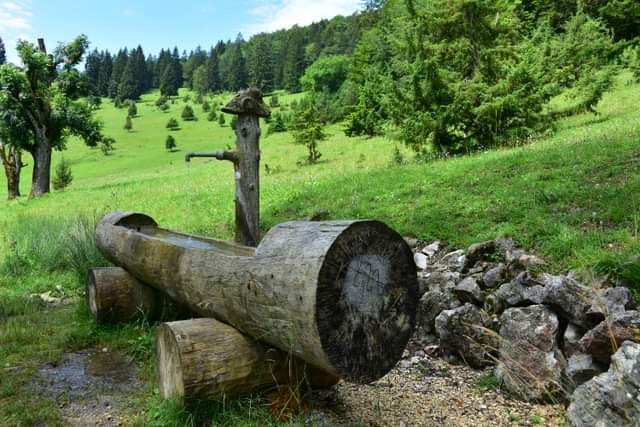 * * * Hayedo de enebro y cara de roca: una caminata en la belleza salvaje del Lochenpass * * *