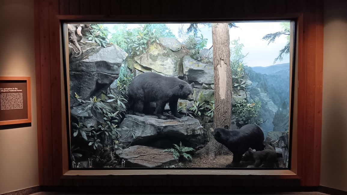 Museum of natural history I