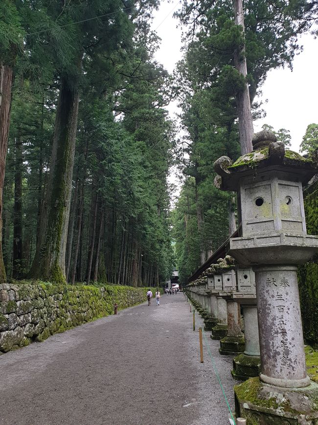 Nach Nikko mit dem Zug