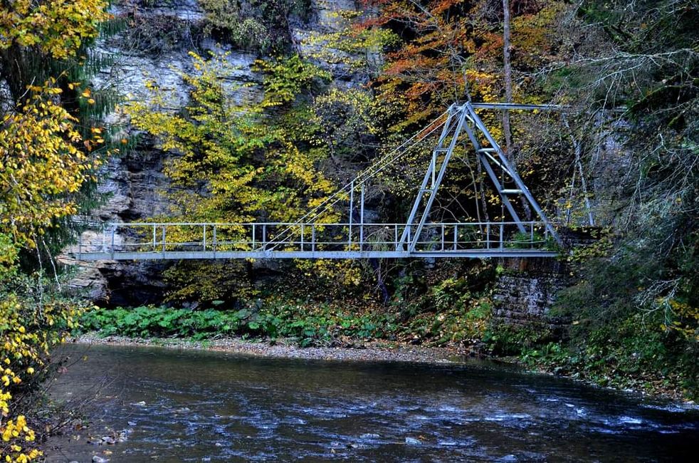 Autumn hiking in the Wutach Gorge: Red, yellow, orange... and you're right in the middle!