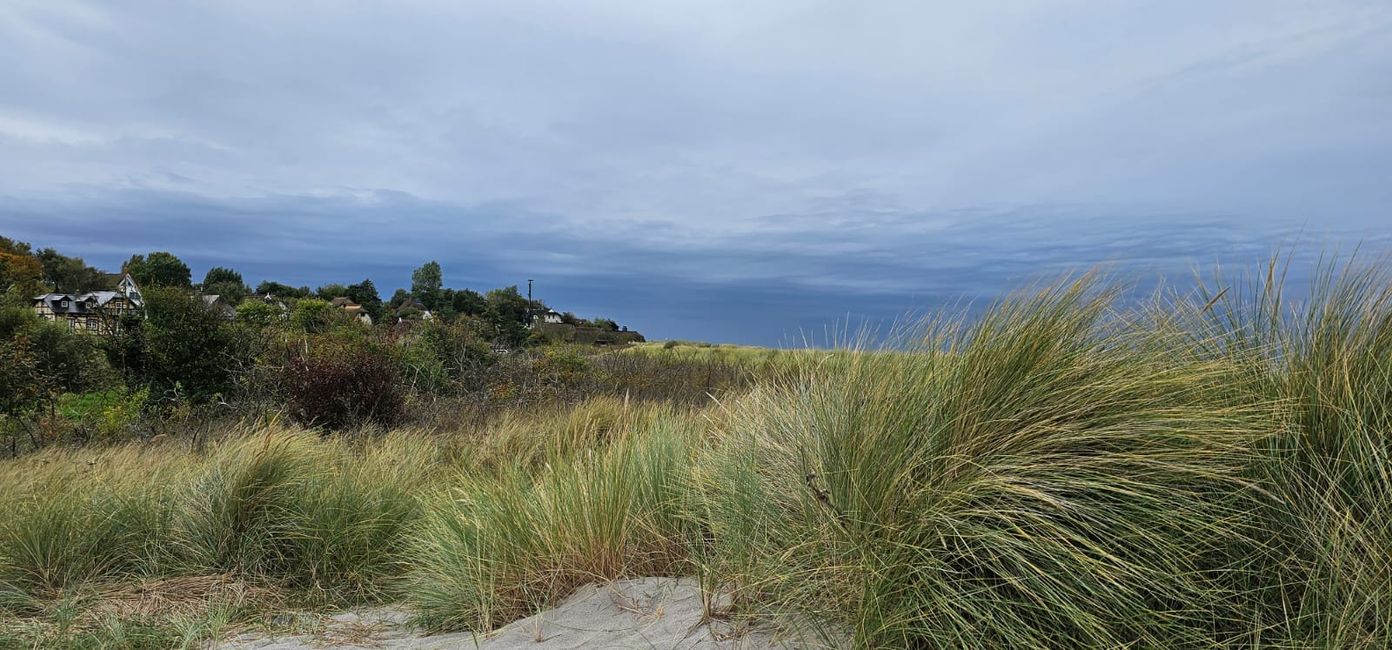 Ahrenshoop Strand