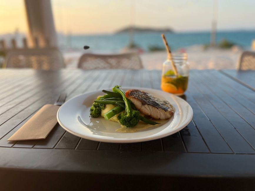 Der Barramundi, auch Baramundi, ist ein Raubfisch aus der Familie der Riesenbarsche und kommt vorwiegend in den tropischen Gewässern Australiens vor