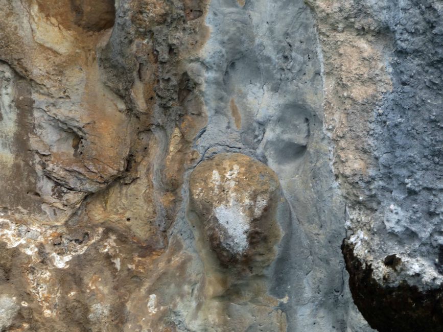Incisioni rupestri