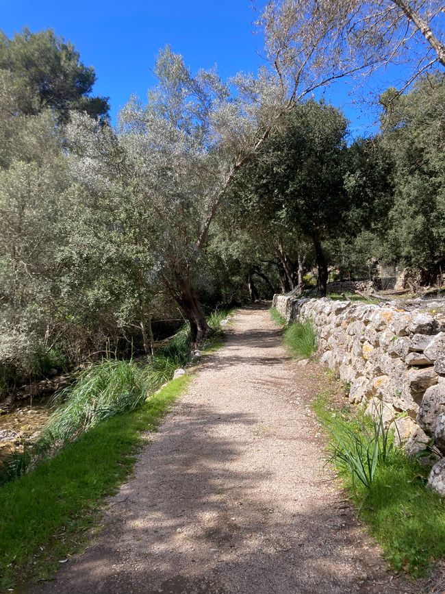 Wandern… von Santa Maria aus zum Tramuntana Gebirge…soweit meine Füße mich tragen