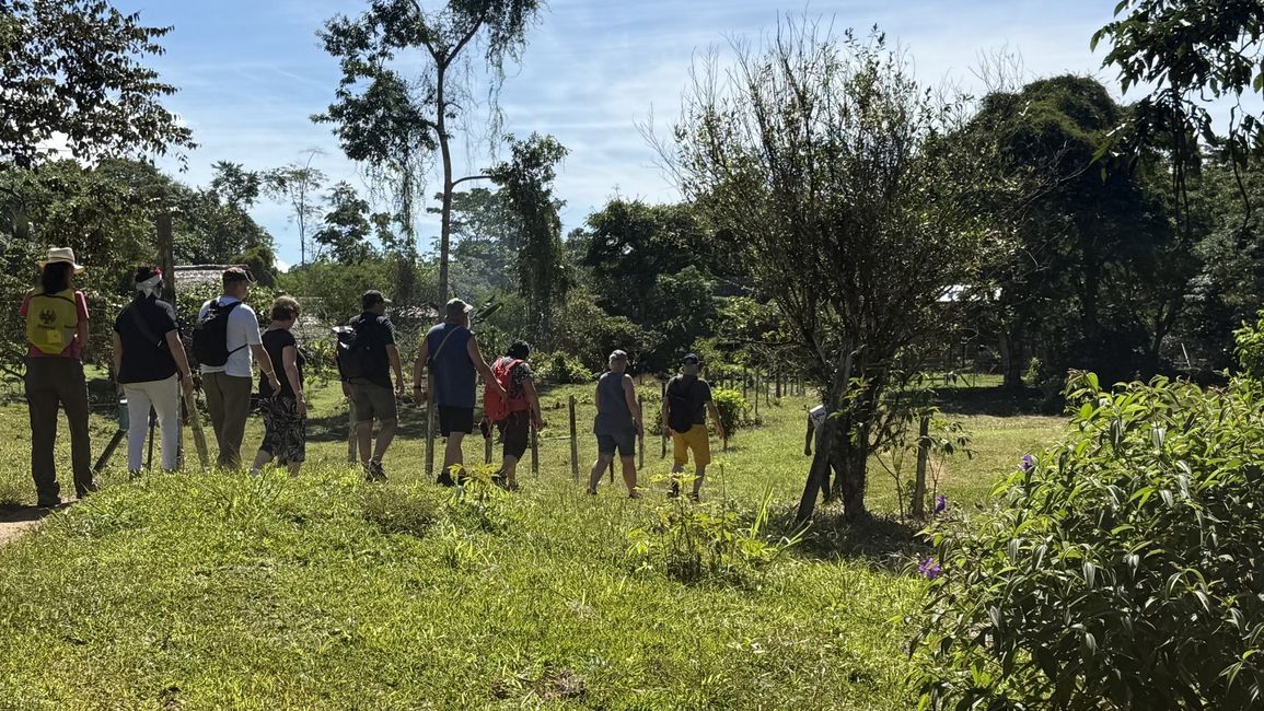 Die Touristen marschieren ein...
