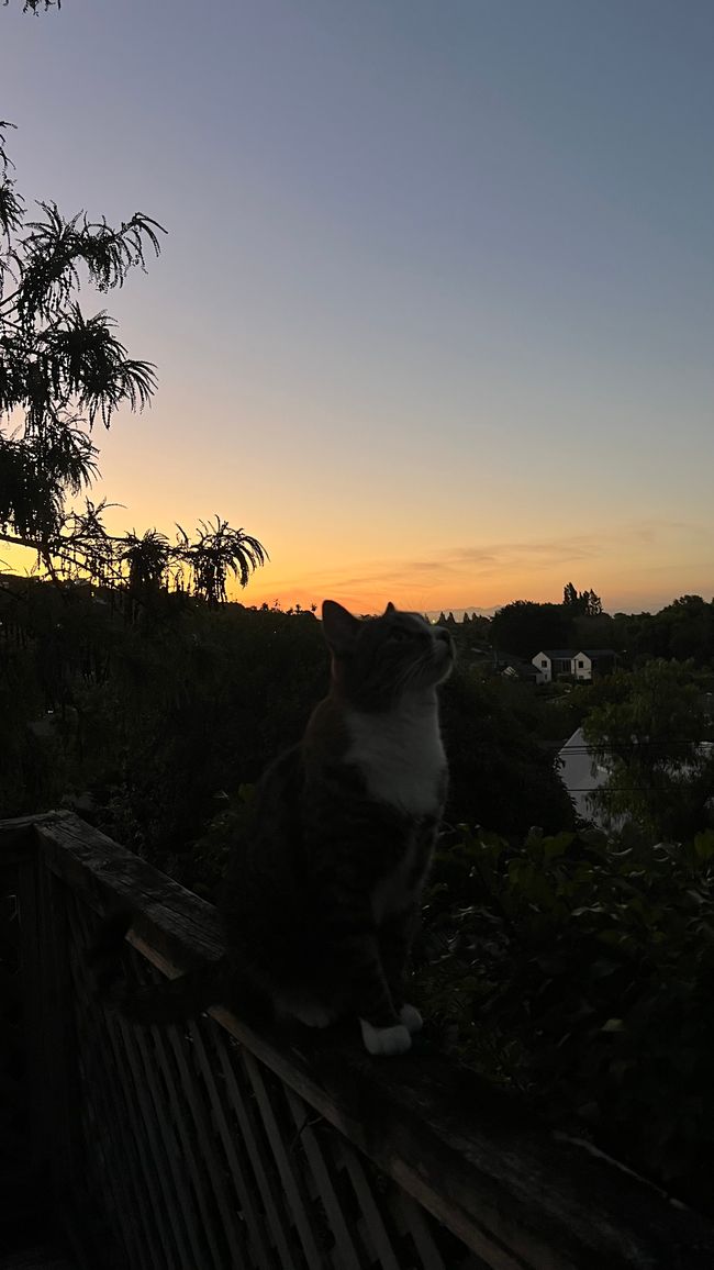 Tramonto con Jake